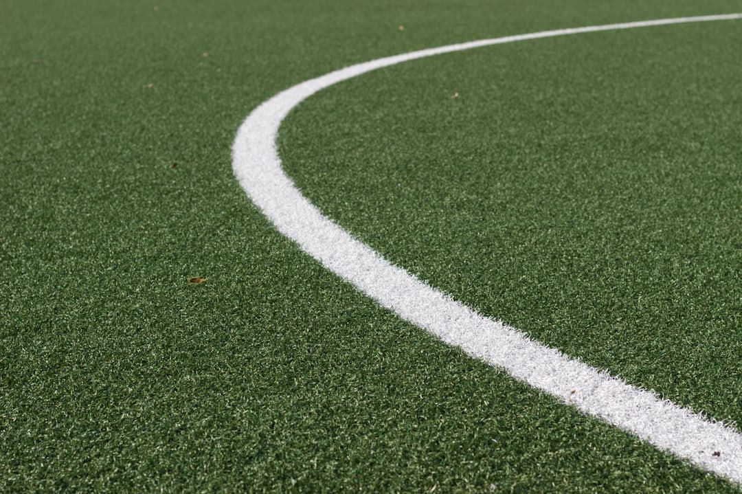Campo de fútbol verde y blanco con líneas visibles, en la sala de chat de Mundial