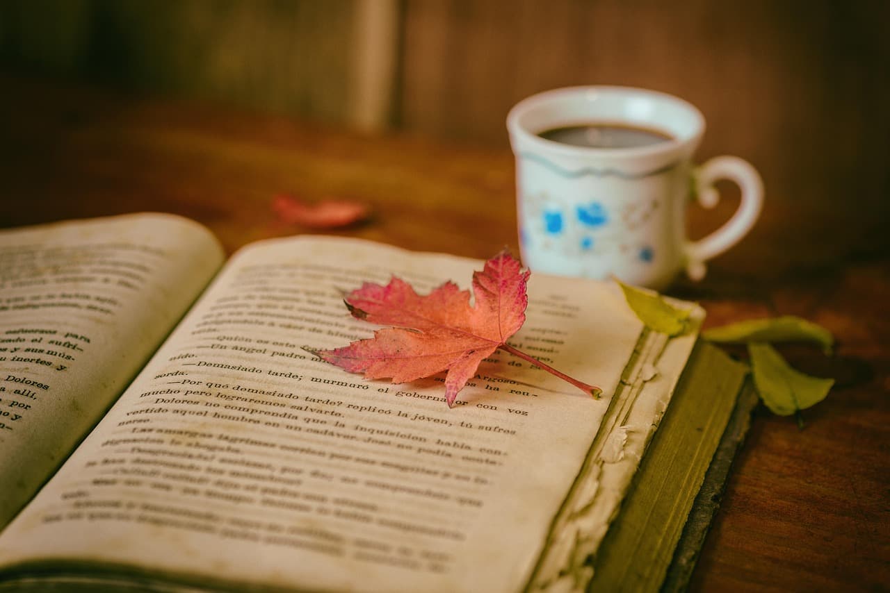 Taza de café sobre libro abierto con hojas secas, en la sala de chat de Literatura